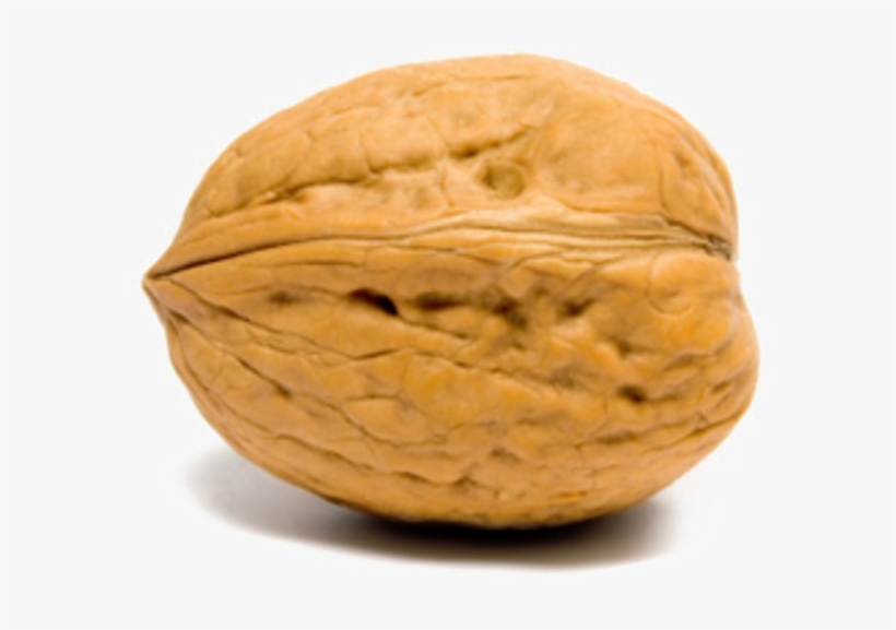 Walnut Transparent Images Walnut In French 625x515 PNG Download