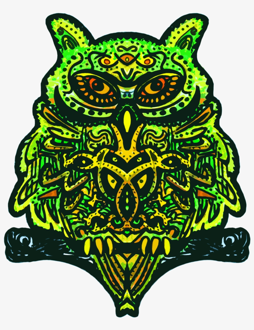 Psy Owl> Psy Owl, transparent png