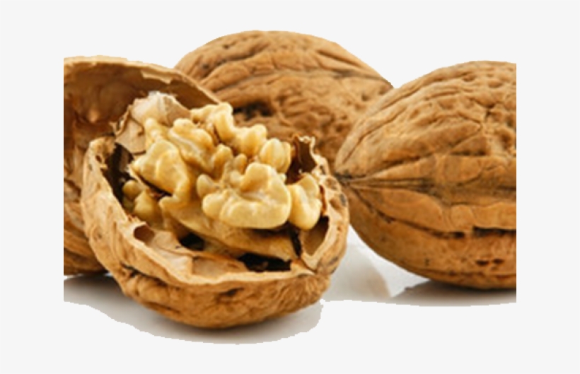 Walnut, transparent png