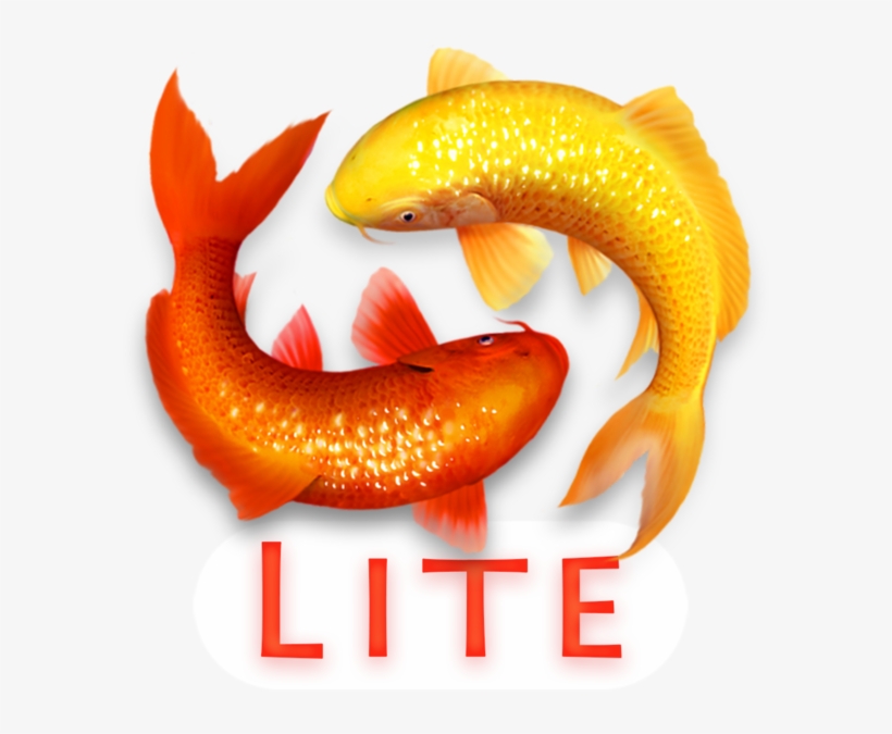 Koi Pond 3d Lite 4 - Syngnathiformes, transparent png