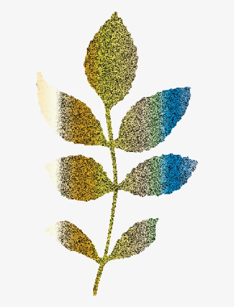Glitter Golden Elegant Wedding Branch And Leafs Example - Pond Pine, transparent png