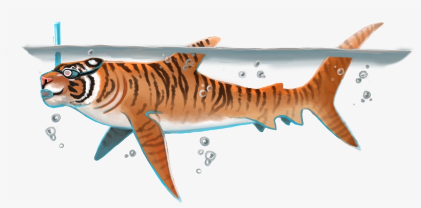Bengal Tiger, transparent png