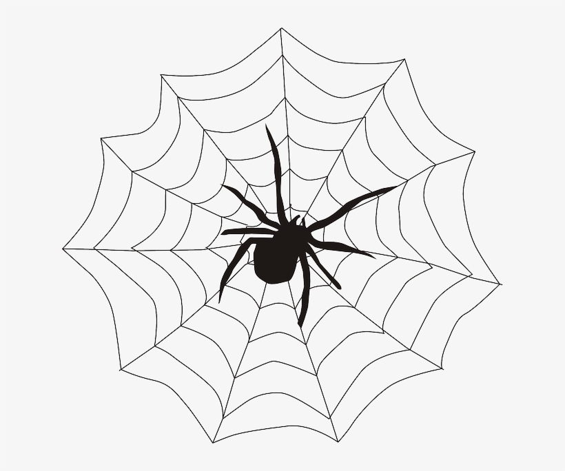 Spider In A Web Drawing, transparent png