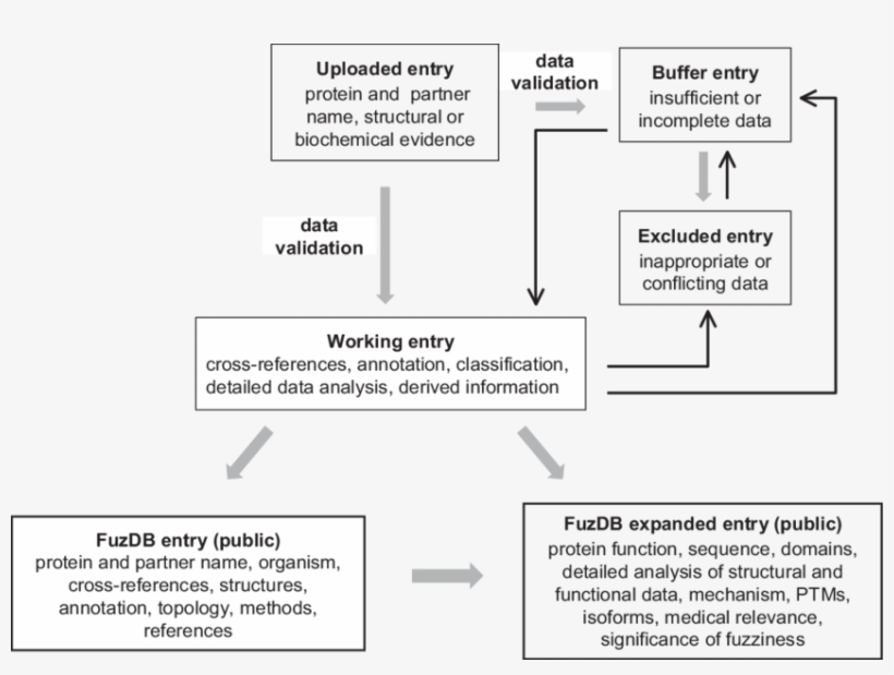 The Flowchart Of Fuzdb Data Processing - Diagram, transparent png