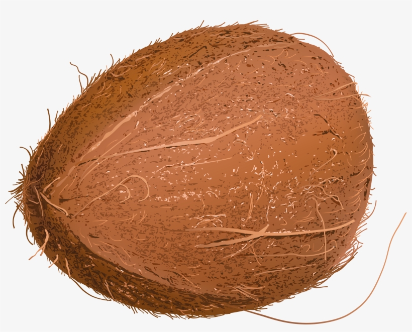 Tropics Clipart Coconut Juice - Кокос Пнг, transparent png