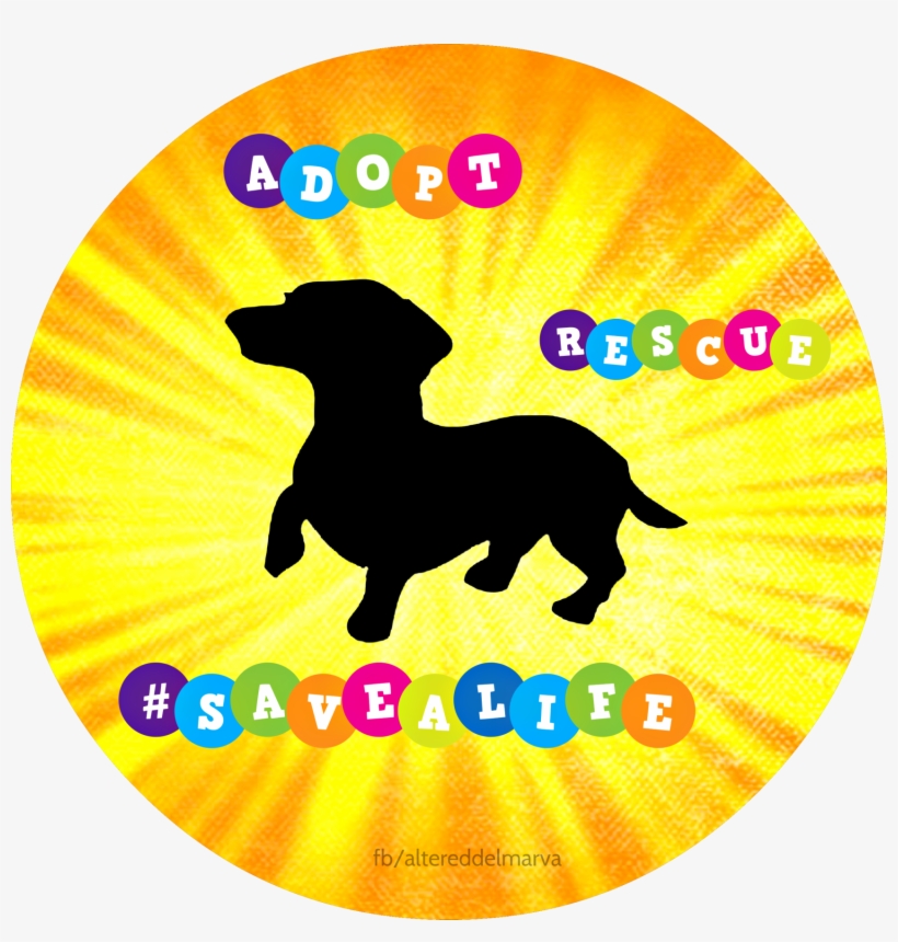 Rescue - Dachshund Silhouette, transparent png