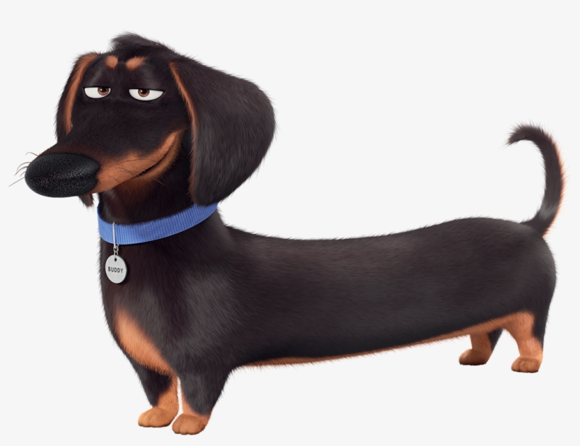 Clip Royalty Free C Pinterest Secret Life - Secret Life Of Pets Ivan, transparent png