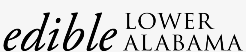 Footer Logo - Stand Up For Alabama: Governor George Wallace [book], transparent png