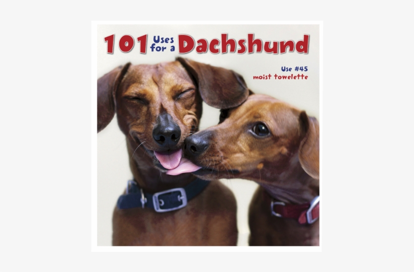 “101 Uses For A Dachshund” Picture Book - 101 Uses For A Dachshund By Willow Creek Press 9781623430313, transparent png