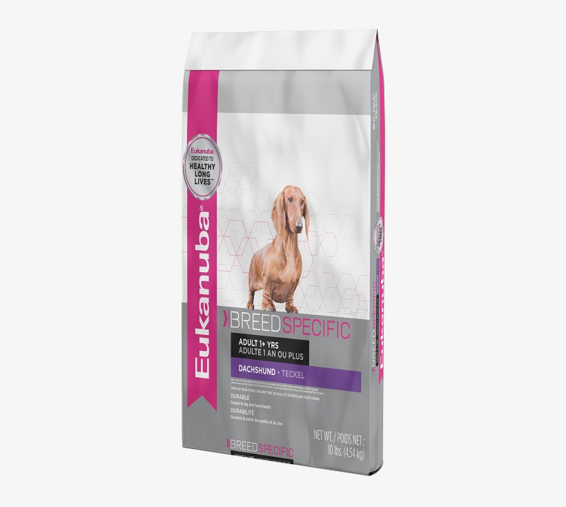 eukanuba dachshund