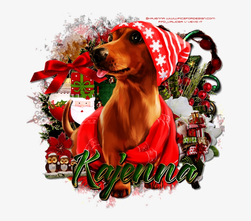 Snow Dachshund - Dog, transparent png