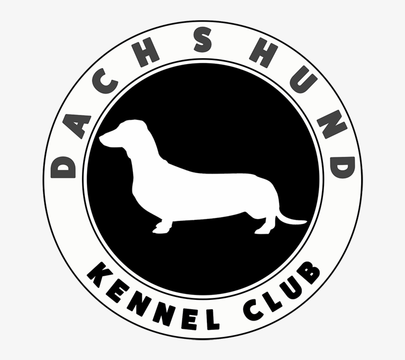 Dkc Header Logo Retina - Wells Hall Community Primary School, transparent png