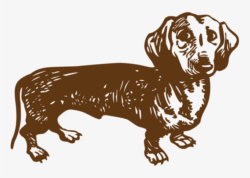 Dachshund-converted - Dachshund, transparent png