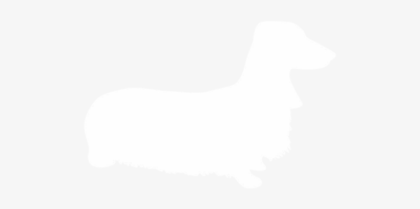 Our Boys - Companion Dog, transparent png