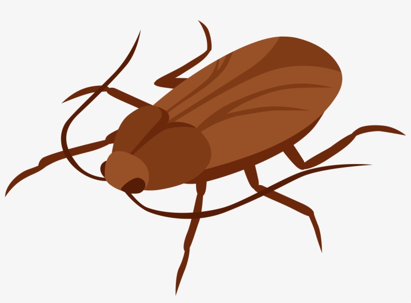 Cockroach Png Clip Art - Cockroach Transperant Backround, transparent png
