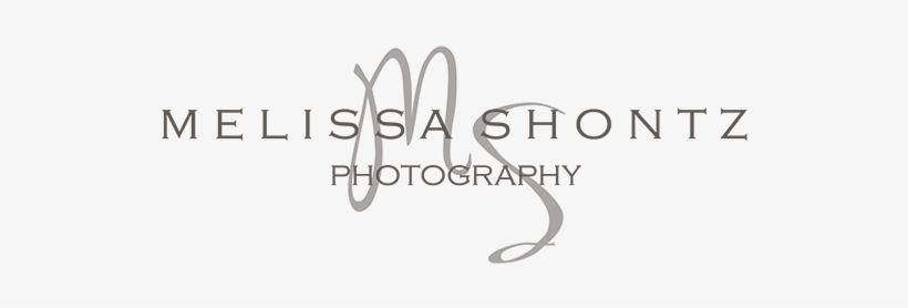 Photography, transparent png