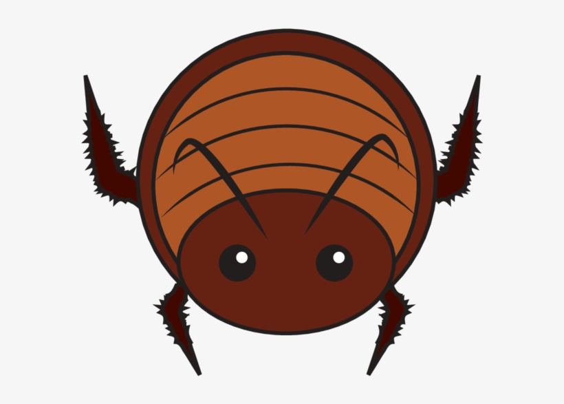 Animaru Cockroach - Portable Network Graphics, transparent png