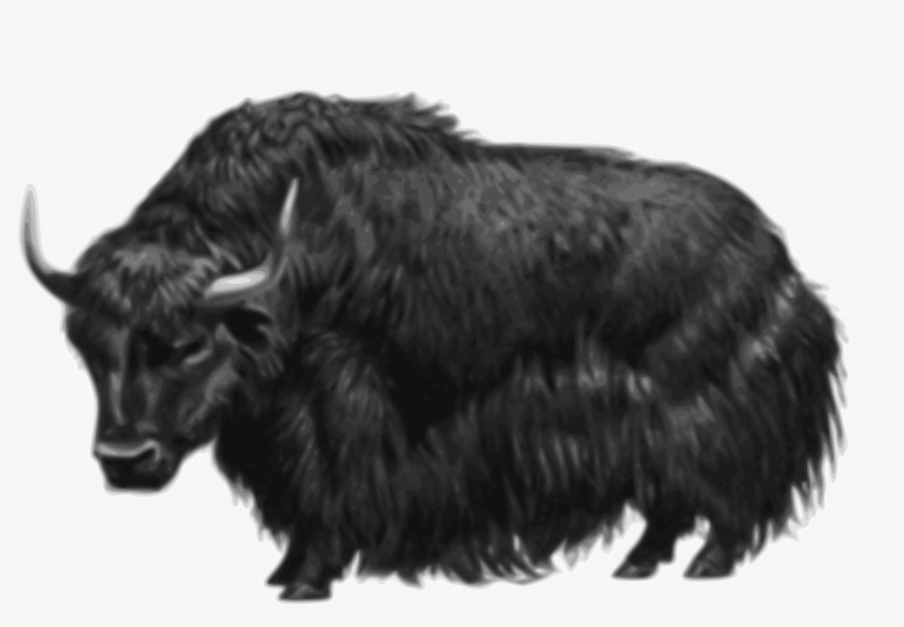 Yak - Yellow Yak, transparent png