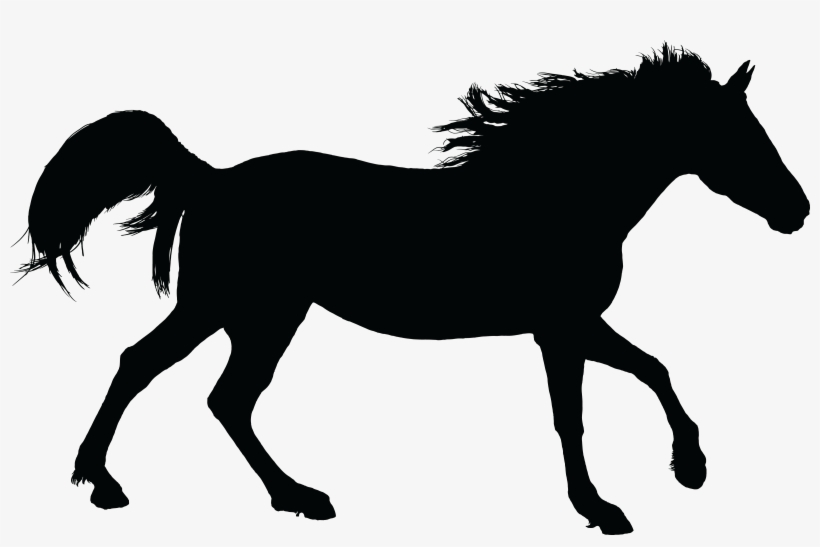 Free Clipart Of A Black Silhouette Of A Horse - Horse Silhouette Free Png, transparent png