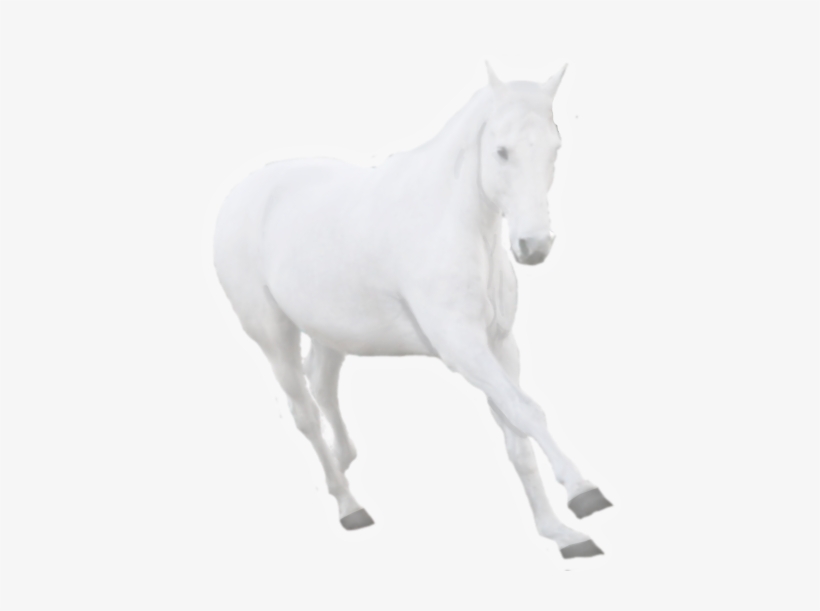 Ghost Horse Pre Cut By Sydsanchorlessstudio On Deviantart - Ghost Horse Png, transparent png