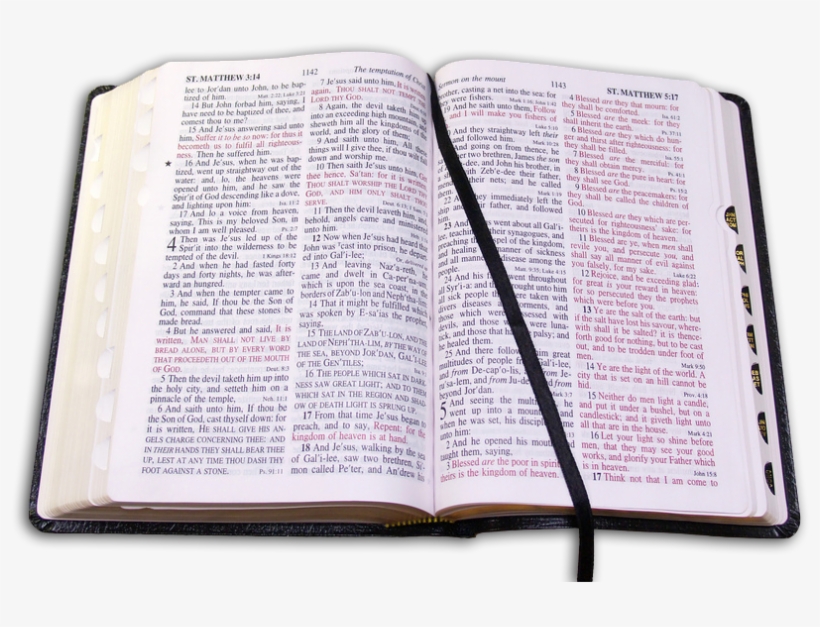 Interactive Study Tools Vector Library Stock - Png Bible, transparent png
