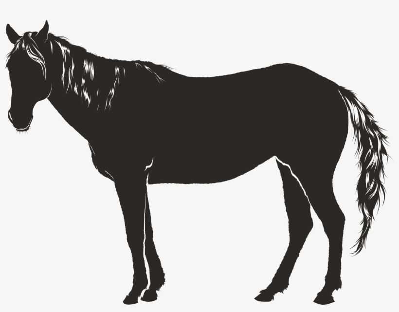 Free Clipart Of A Horse - Shadow Of Horse Drawings, transparent png
