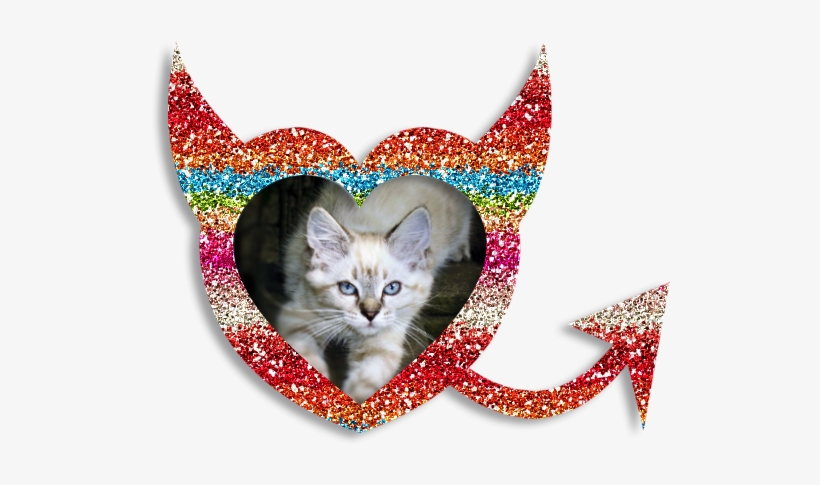 Multi-color Glitter Heart Frame Right Click And “save - Kitten, transparent png