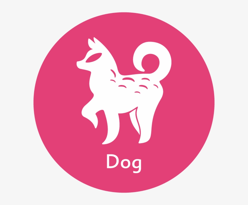 Stallion, transparent png