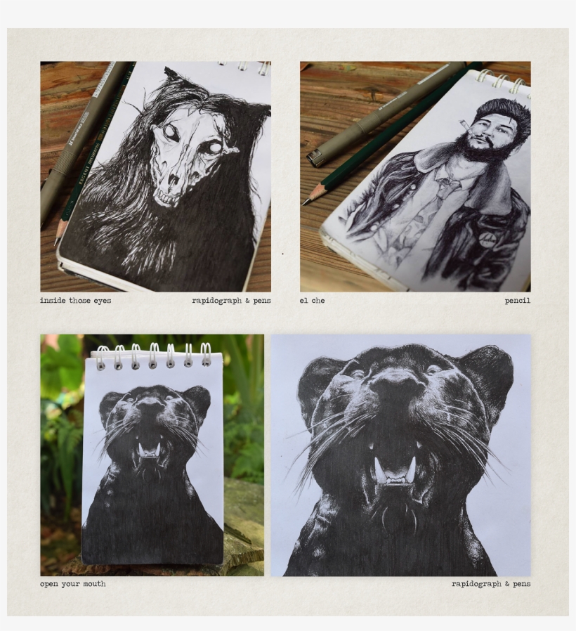 Thank You - Sketch, transparent png