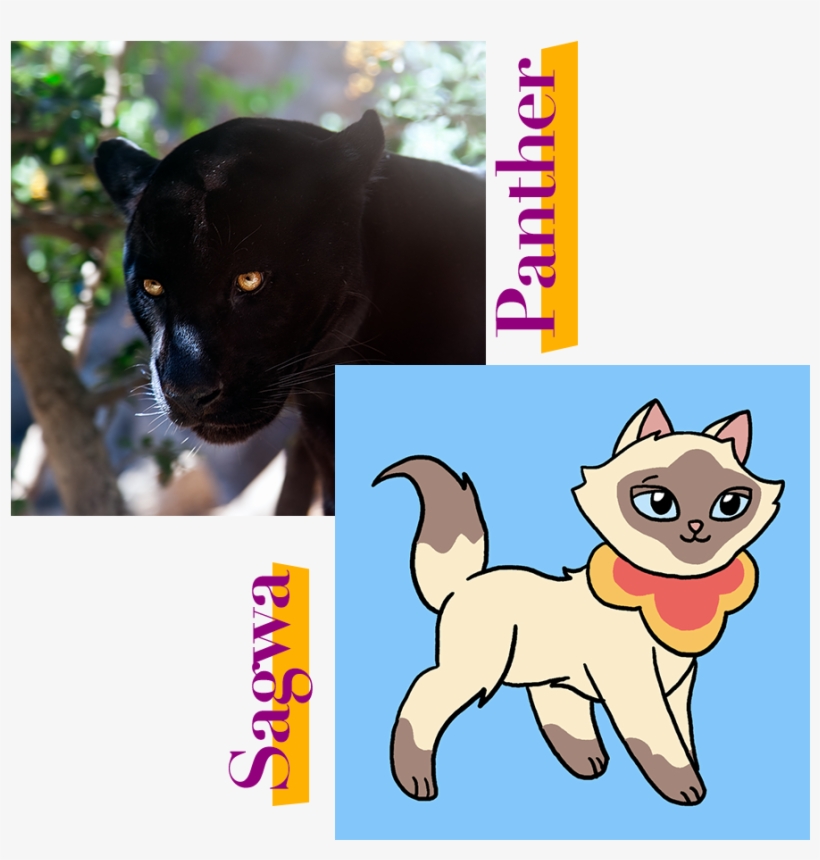Black Panther And Sagwa Cat - Cat, transparent png