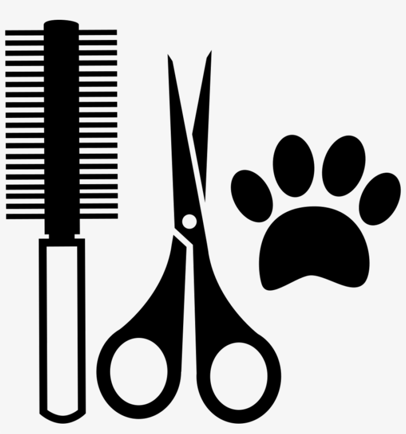 Download Salon Tools Clipart Comb Hairdresser Beauty - Herramientas De Un Veterinario Para Colorear, transparent png