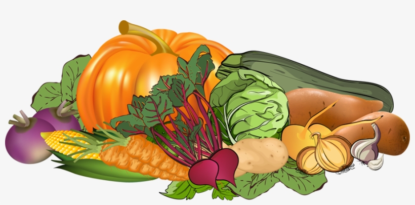 Banner Collection Of Fruits And High Quality - Fruit And Vegetables Clipart Png, transparent png