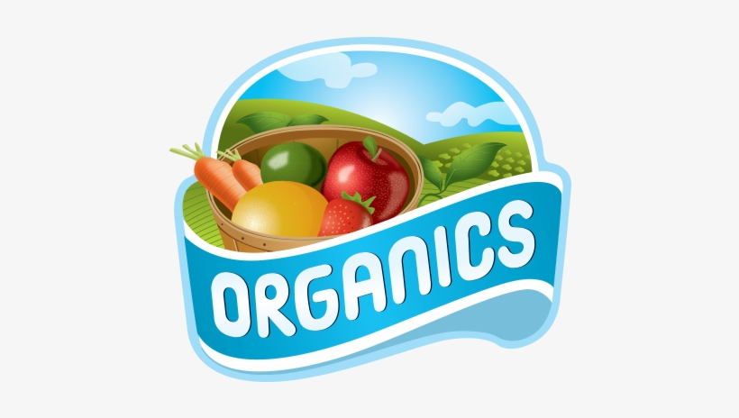 Go To Image - Vector Fruits Png, transparent png