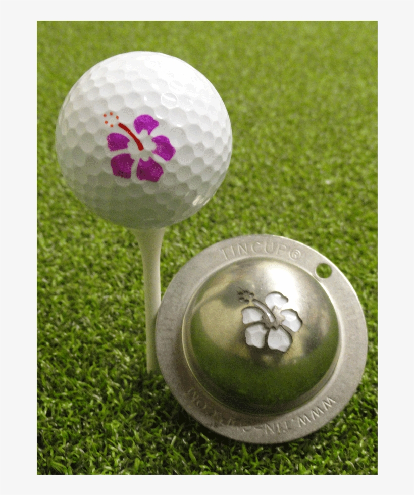 The U - Grass, transparent png