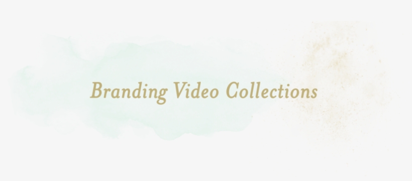Brandingvideocollections Maryngraves - Miami Jacobs Career College, transparent png