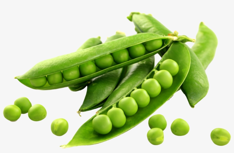 Peas Png - English Pea Snow Pea, transparent png
