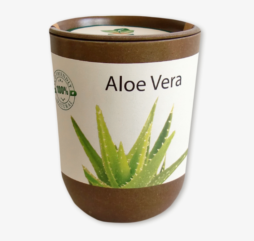 Feel Green Ecocan "kräuter, transparent png