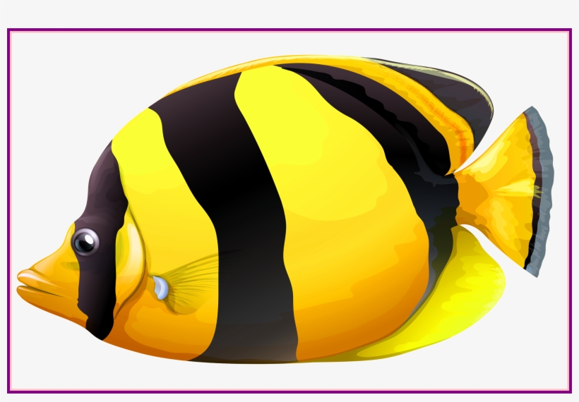 20 Ideas Of Fish Bowl Clipart - Butterfly Fish Transparent, transparent png