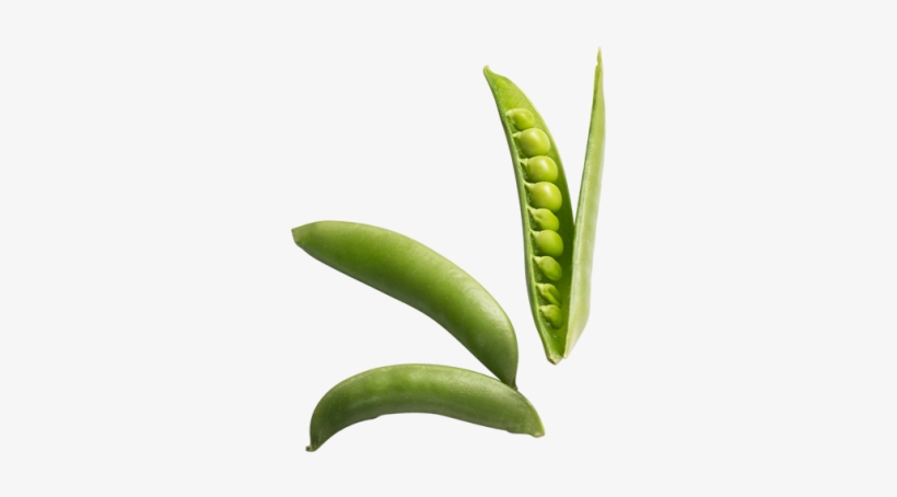Peas - Illustration, transparent png
