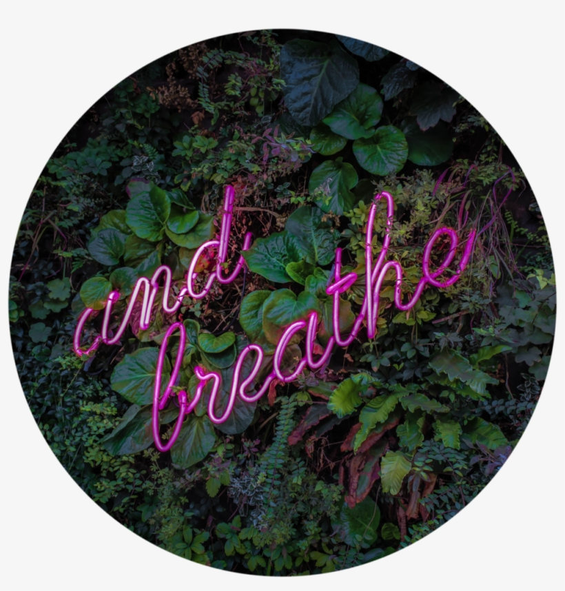 Go Somewhere Where You Won't Be Interrupted - Breathe, transparent png