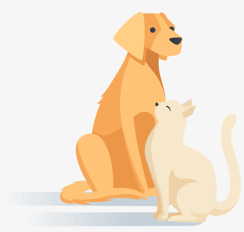 Pets - Golden Retriever, transparent png