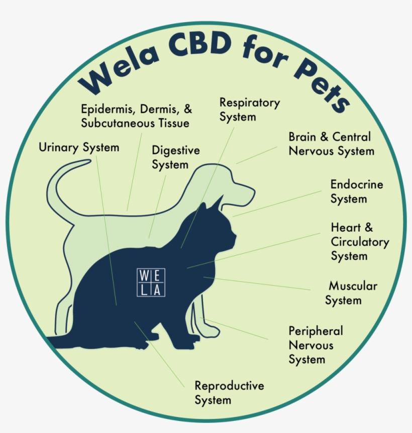 Wela Cbd For Pets - Circle, transparent png