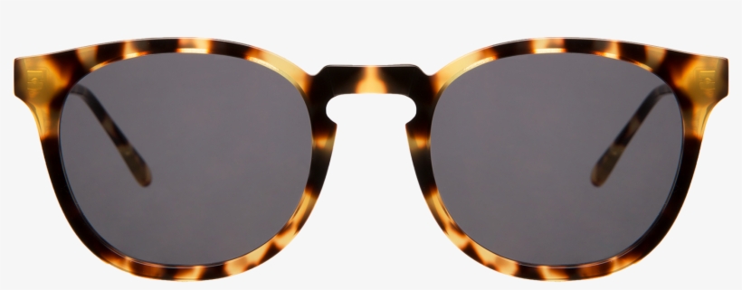 Eldridge Tortoise W Grey Front Hi Res Web V=1548108611 - Reflection, transparent png