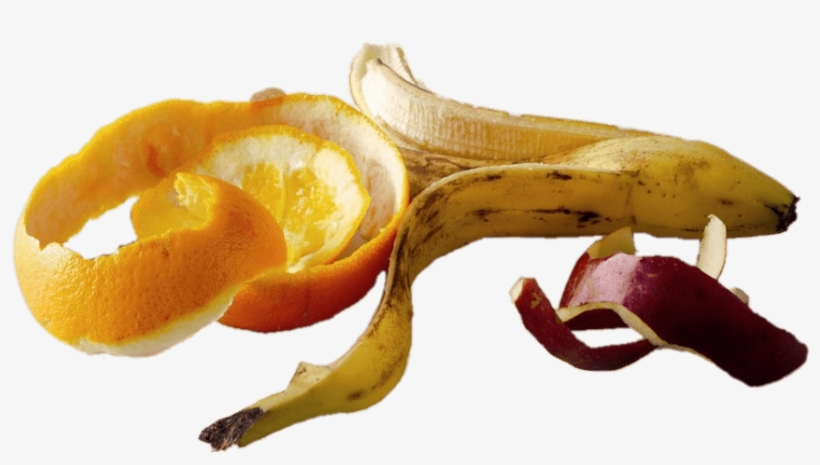 Piel De Frutas - Fruit Peels, transparent png