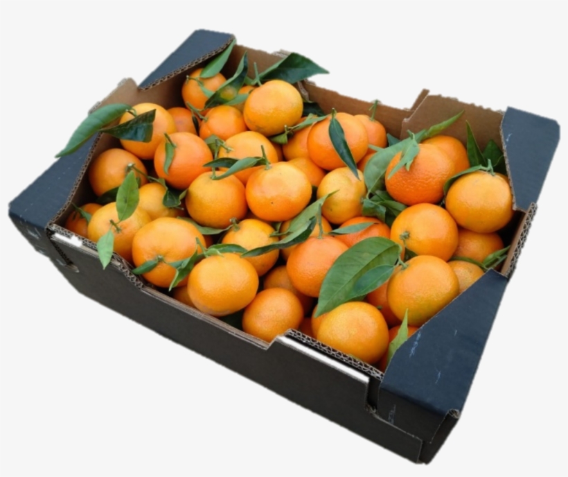 Frutas Goostar Is At The Heart Of The Spanish Production - Rangpur, transparent png