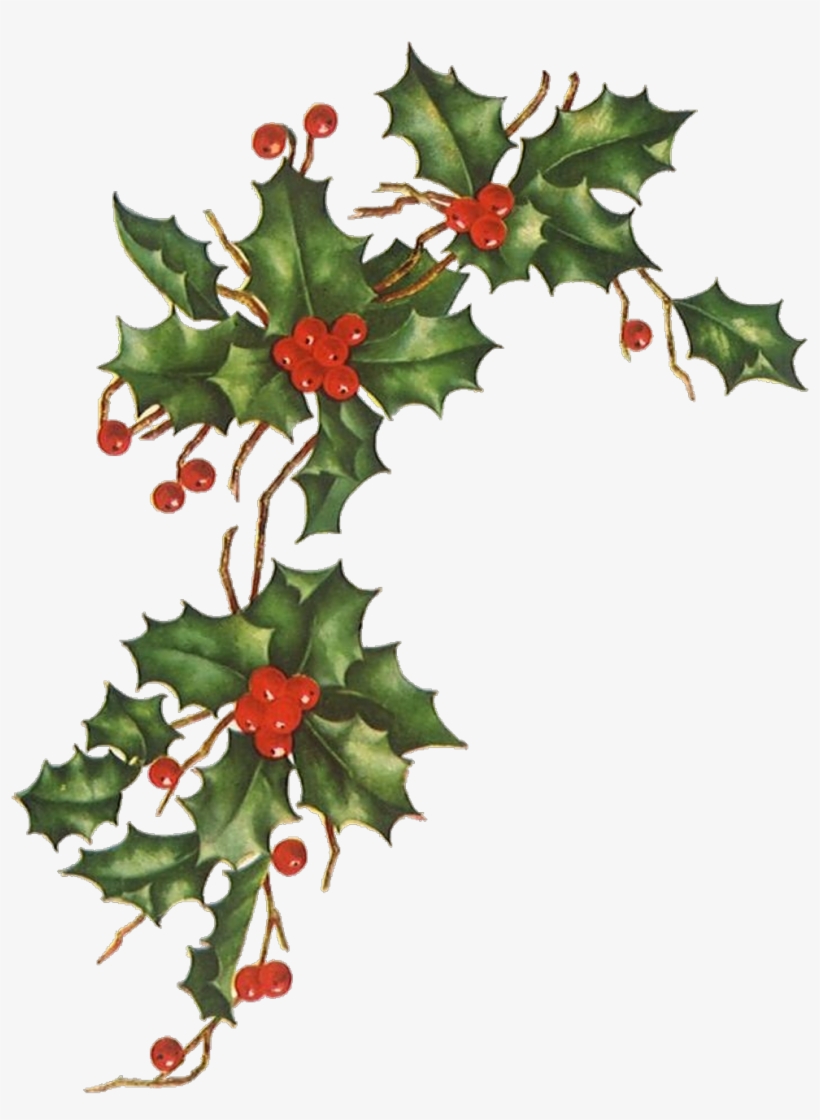 Report Abuse - Vintage Christmas Flowers, transparent png