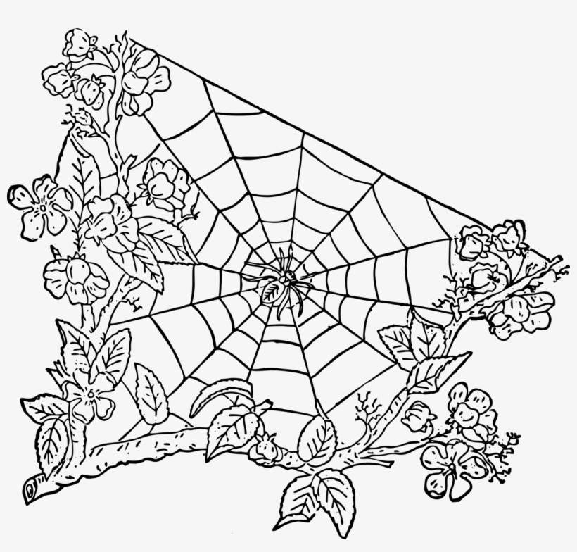 Spider Spider Web Halloween - Spider Web Transparent Png, transparent png