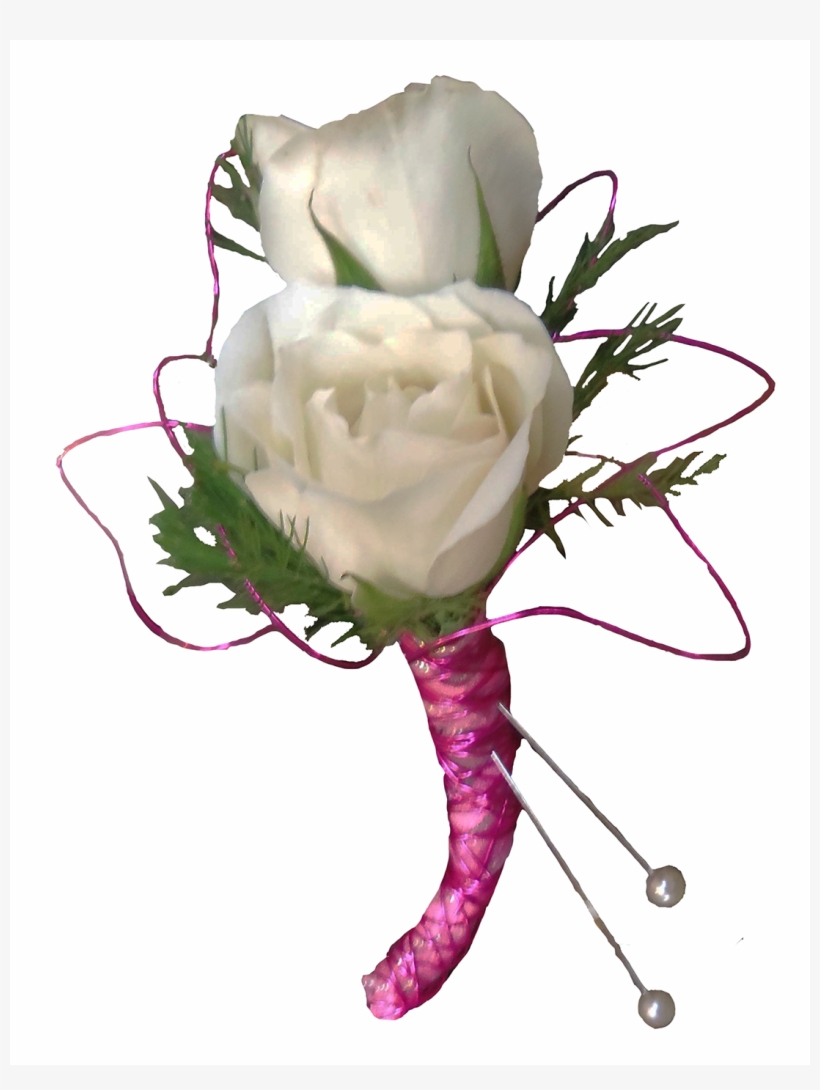 Luz Png, transparent png