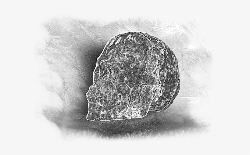Bleed Area May Not Be Visible - Skull, transparent png