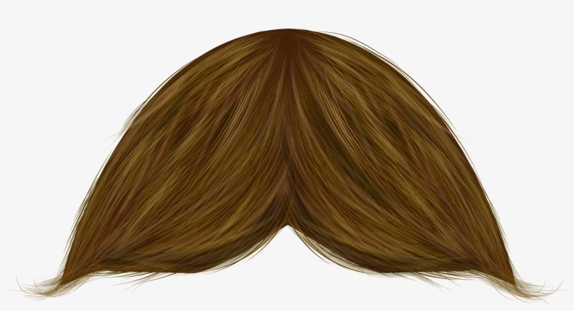 Lace Wig, transparent png
